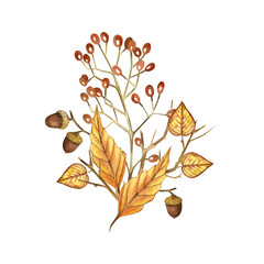 composition of dried flowers, yellow leaves, viburnum berries, acorns, bare tree branches. All objects are hand-painted with watercolors. Thanksgiving Day. For printing on postcards, invitations.