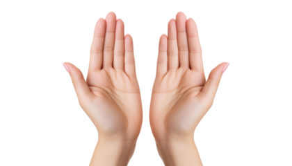 open hands isolated on transparent background cutout