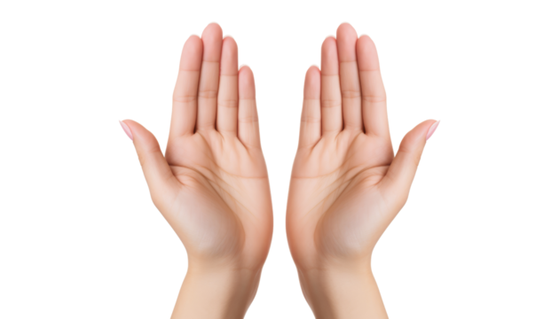 open hands isolated on transparent background cutout