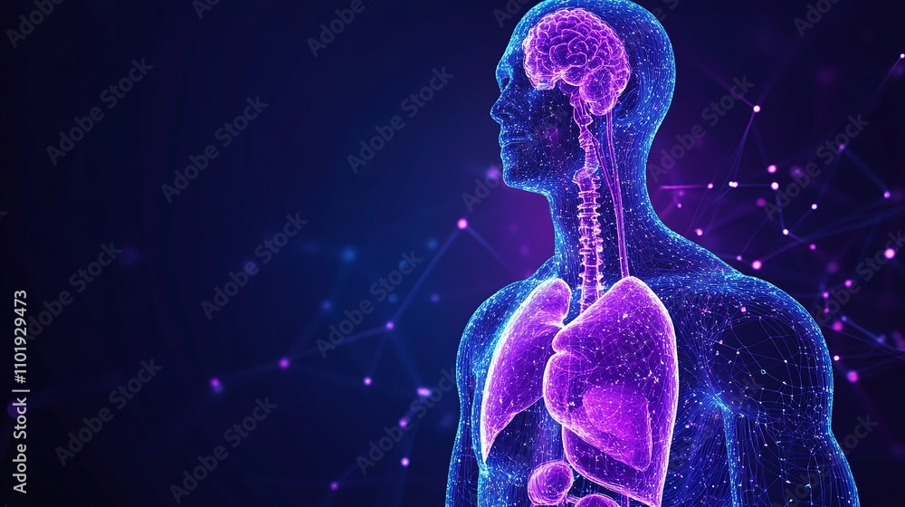 Poster anatomy and health explore organs like lungs and brain with nervous system interaction and 3d visual