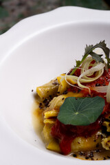 Italian pasta, ravioli, with tomato and vegetables.