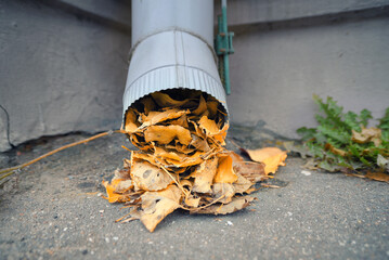 Сlogged gutter with leaves blocking the downspout, home maintenance challenges during autumn...