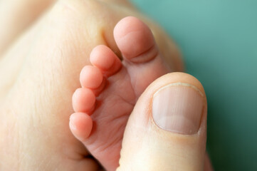 The newborn's foot in the father's hands.