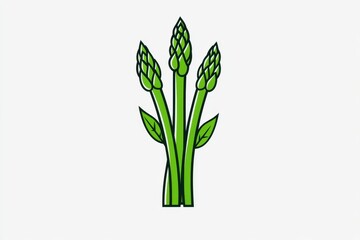 Fototapeta premium Asparagus illustrated in minimalist line art, with simple green and white tones creating a modern aesthetic
