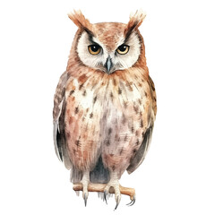 watercolor Scops Owl isolated white background
