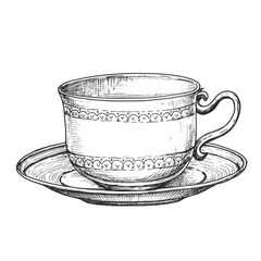 Tea cup sketch ink graphic illustration, draft silhouette drawing, black on white line art. Vintage etching food design.
