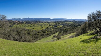 Obraz premium A panoramic view of lush green hills under a clear blue sky.