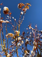 AUTUNNO 2024