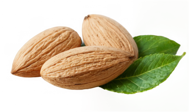 Fresh Almonds in Triangular Formation on transparent background
