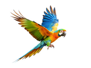 Fototapeta premium flying parrot isolated on white background as transparent. PNG. AI GENERATED.