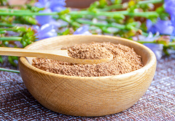 Ground chicory root on a wooden spoon and chicory flowers on a rustic wooden background. Alternative medicine. Healthy drinks. chicory drink