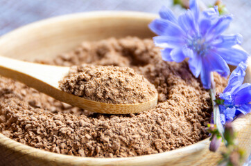 Ground chicory root on a wooden spoon and chicory flowers on a rustic wooden background. Alternative medicine. Healthy drinks. chicory drink