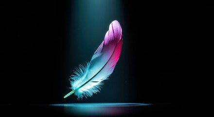 Illuminated pink feather floating in darkness