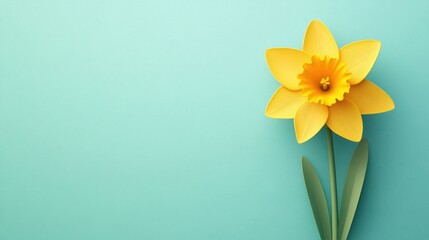 Obraz premium Bright Yellow Daffodil Flower on Mint Green Background Aesthetic