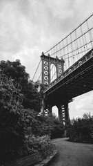 View of the bridge