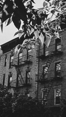 Postcard shots of the city in black and white