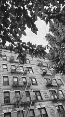 Postcard shots of the city in black and white
