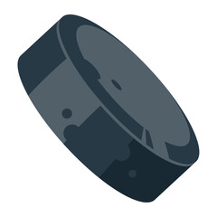 hockey puck sports item