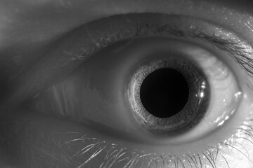 Infrared Macro Photography of Human Dark Brown Eye Pupil Dilated Iris Detail 720nm Black and White...