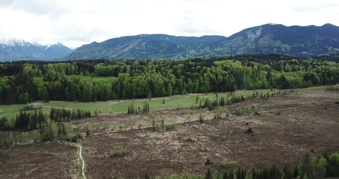 Aerial view, drone flight over a forest and Alps in the background at Staffelsee in Bayern, Germany