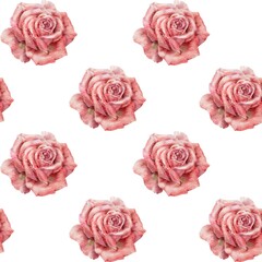 Valentine's Day seamless pattern with pink roses. Digital seamless backgound. Watercolor roses. Digital Paper.