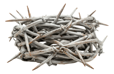 Close-up of a crown of thorns with sharp spikes