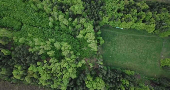 Aerial view, drone flight over a forest and Alps in the background at Staffelsee in Bayern, Germany