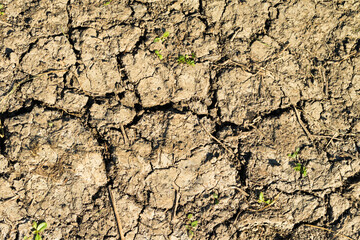 dry land with cracks nature