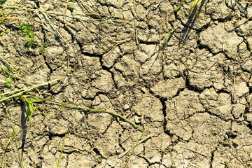 dry land with cracks nature