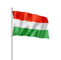 Hungarian flag isolated on white
