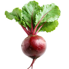 Fresh round beetroot with vibrant green leaves, deep red color, and visible roots on transparent background.