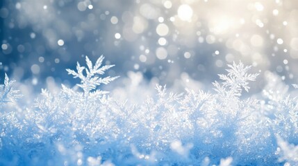 Stunning Frosty Winter Wonderland