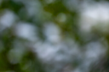 png artistique, ressource graphique, arrière plan, billes de bokeh artistique, flou, blanc, vert