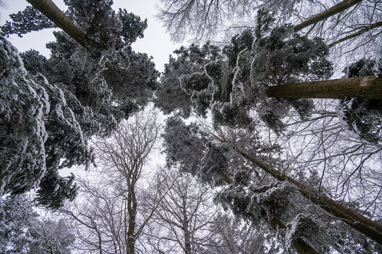Blick nch oben