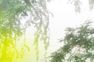 green nature abstract background 