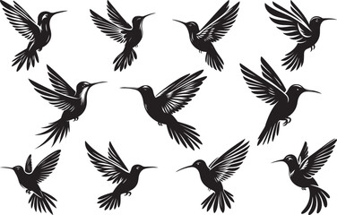 Hummingbird Silhouette Vector Art and Illustration