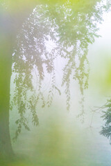 green nature abstract background 