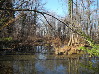 Austria, Pottendorf Castle and Park