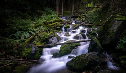 Mountain forest stream with waterfall in the Caucasus, Russia
