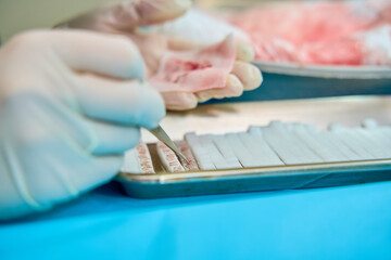 Close-up of laboratory technician handling tissue samples on a tray