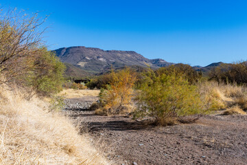 A dry wash in the Arizona desert