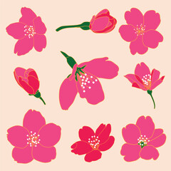 Vector Sakura blossom floral. Isolated flower illustration element on pink background. vector illustration