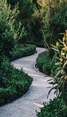 Fototapeta premium A serene journey along a winding path in a lush bamboo forest with sunlight streaming through