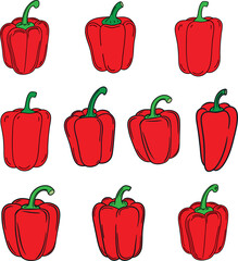 Vector illustration of a vegetable bell pepper
