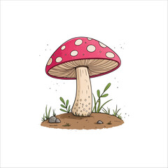 Mushroom vector illustration. Mushroom vector on white background.
