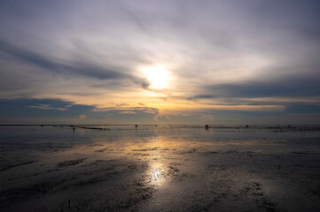 Scenic landscape of Sunset over the Mangrove sea water