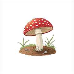 Mushroom vector illustration. Mushroom vector on white background.