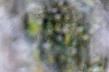 png très artistique, ressource graphique, arrière plan, billes de bokeh artistique, flou, blanc, vert, nuances de couleur, rêve, fête