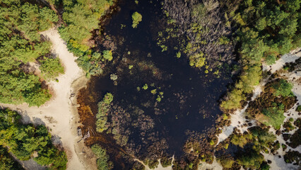 A small pond of water located in The Netherlands