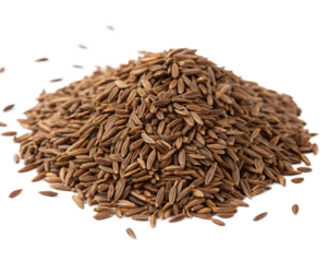 Pile of Caraway Seeds on Transparent Background